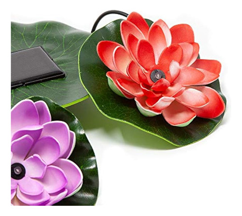Beckett Corporation Solar Lily Luces Para Estanque
