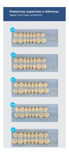 Dente 32l Sup 69 Pop Dent