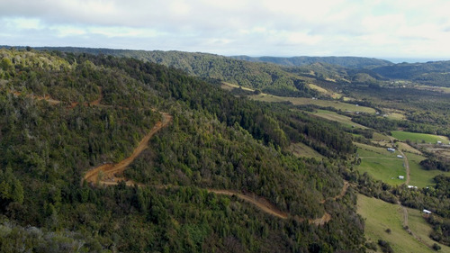 Imagen 3 de 22 de Campo De 42ha Estaquilla - Los Muermos