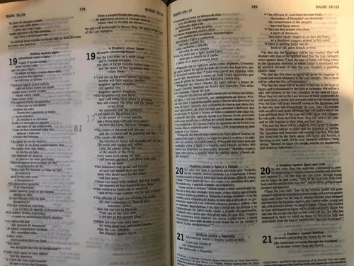 Bíblia – Nvi – Bilingue Português-Inglês – Marrom – Rema Livraria Evangélica