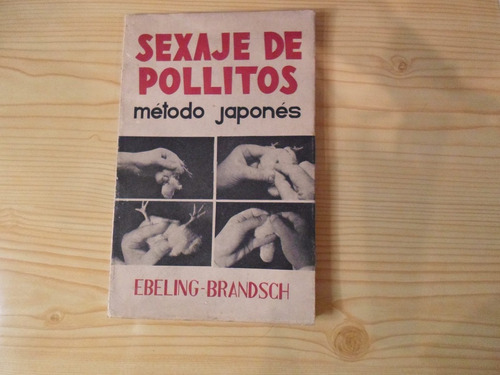 Sexaje De Pollitos De Un Dia - Ebeling Y Brandsch