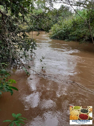 Imagem 9 de 15 de Fazenda À Venda Em Dois Irmãos - To - De 13 Alqueirões (dupla Aptidão) - 1687