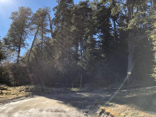 Imagen 10 de 12 de Lote En Venta - Zorzal 100, Villa La Angostura