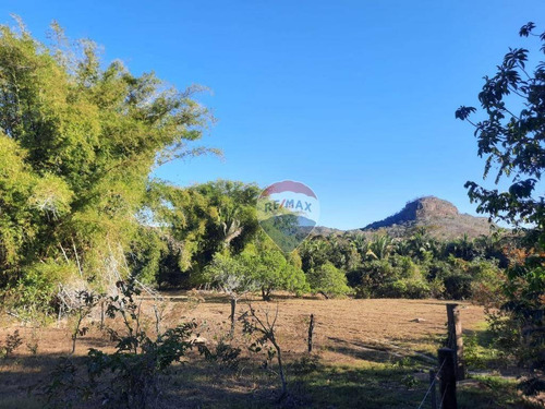 Imagem 10 de 18 de Fazenda Á Venda - Alto Boa Vista - Fa0005
