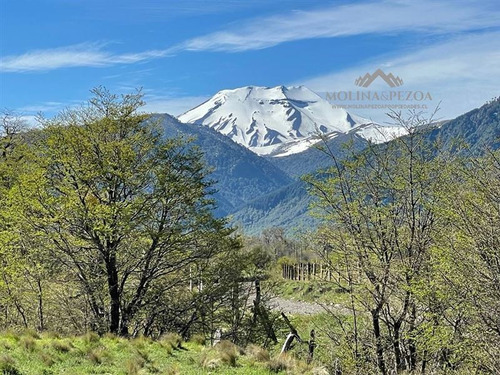 Parcela 1 Hect. Con Rio A Orilla De Camino En Malalcahuello