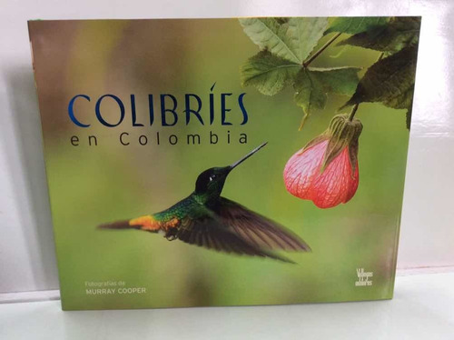 Colibríes En Colombia - Ambiente - Naturaleza - Pájaros