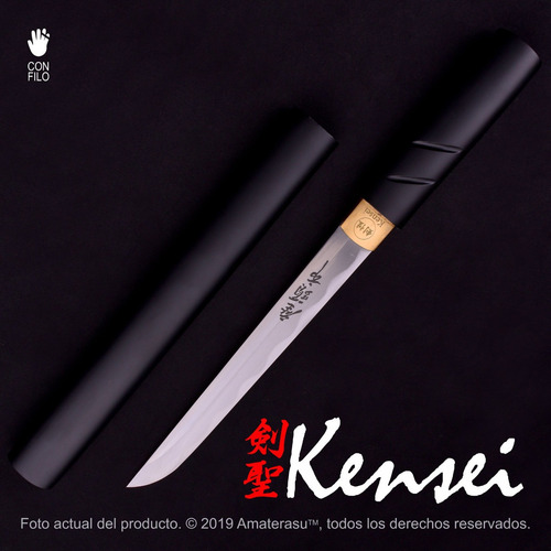 Katana Tanto Zatoichi Full Tang Filo Extremo Kensei