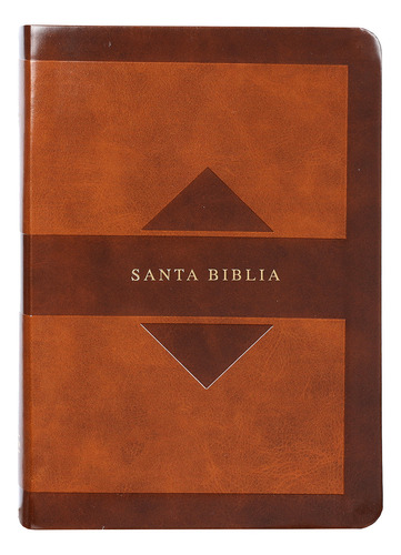 Santa Biblia Rvr 1960: Edición Tierra Santa Fotos Y Mapas A Todo Color, De Varios Autores. Editorial Holman, Tapa Blanda, Edición Tierra Santa En Español