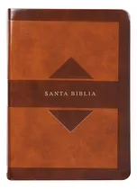 Comprar Santa Biblia Rvr 1960: Edición Tierra Santa Fotos Y Mapas A Todo Color, De Varios Autores. Editorial Holman, Tapa Blanda, Edición Tierra Santa En Español
