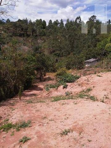 Chácara Com 3 Dormitórios À Venda, 25000 M² - Terras De Santa Cruz - Jundiaí/sp - Ch0106