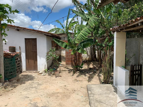 Granja Com Ponto Comercial A Venda Bom Jesus