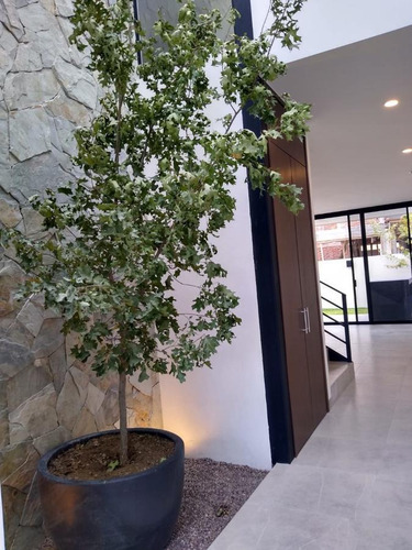 Imagen 16 de 30 de Casa En Venta 3 Recamarás Y 3 Baños Completos El Molino Club