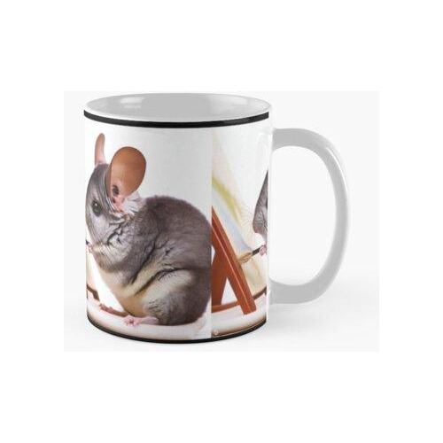 Taza Pintura Chinchilla Calidad Premium