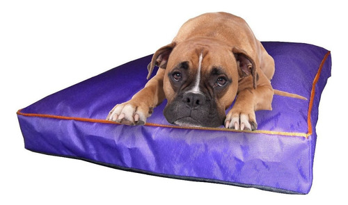 Colchon Liso Antidesgarro 80x60x10 Cm Cama Para Perros