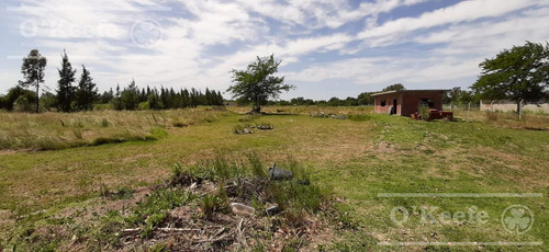 Imagen 4 de 8 de Amplio Lote Con Casa A Terminar - Oportunidad!