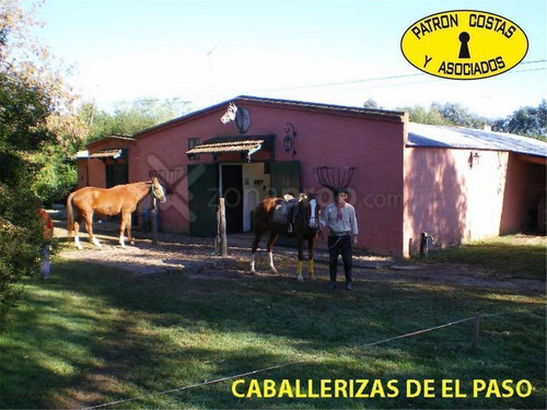 Imagen 4 de 14 de Rivadavia 800 - Open Door - Luján