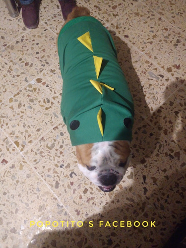 Sudadera De Dinosaurio Para Bulldogs