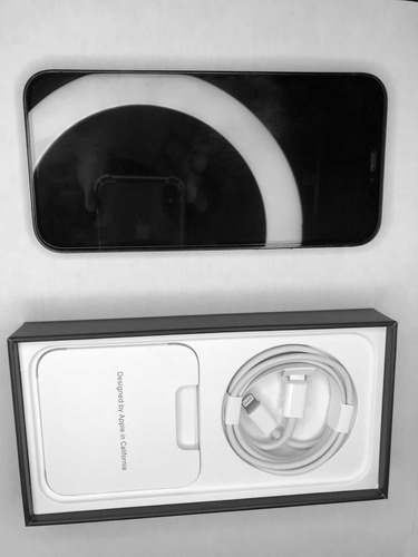 iPhone 12 Pro (Usado)