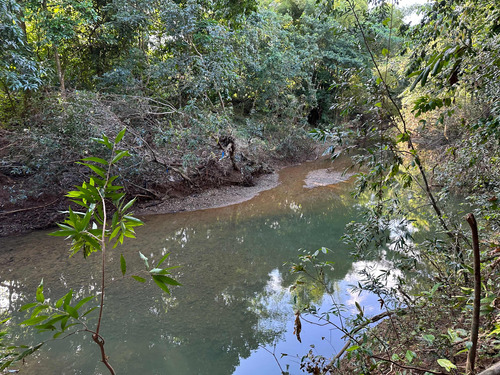 Finca De 147 Tareas De Tierra Con Hermoso Río