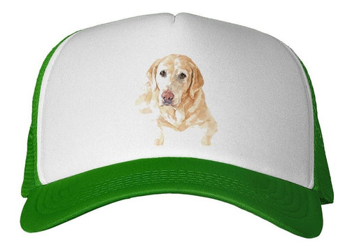 Gorra Perro Labrador Rubio Pintura