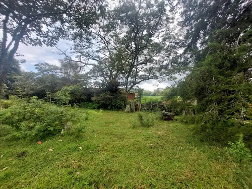 Lotes En Venta Llanogrande 743-7717