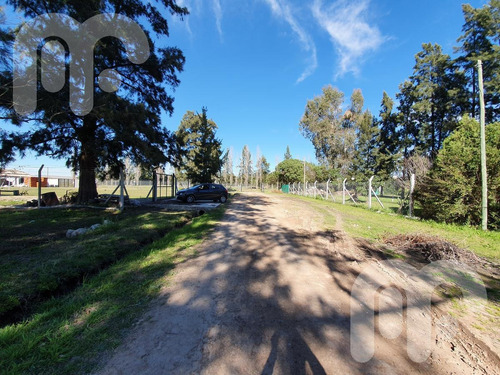 Imagen 5 de 5 de Terreno - Lisandro Olmos Etcheverry