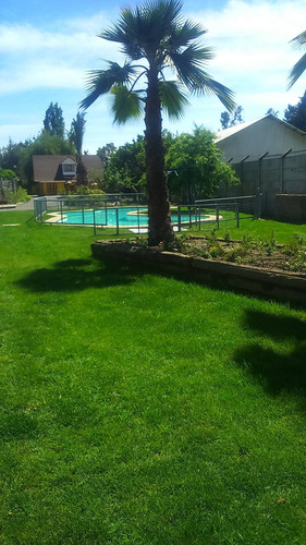 Imagen 7 de 10 de Arriendo Piscina Durante El Dia En La Semana