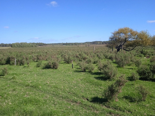 Campo De 20 Has A 88 Km De Montevideo