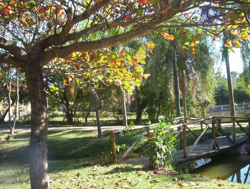 Chácara Residencial À Venda, Country Club, Valinhos. - Ch0059