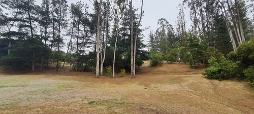 Casa En Venta En Algarrobo