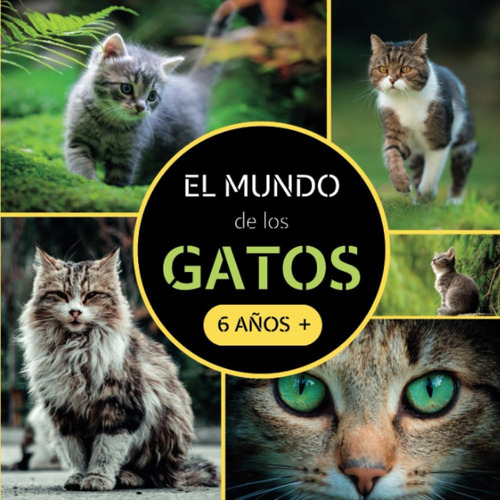Libro: El Mundo De Los Gatos: Libro Documental De Animales S