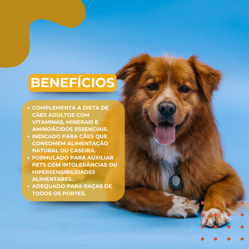 Kit 3 Compplet Mix A-z Pó 120g Suplemento Cães Adultos Organnact | Lojão Do Ferro