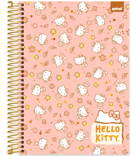 Caderno Universitário Capa Dura 10x1 160 Folhas Hello Kitty