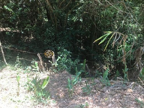Imagem 7 de 10 de Chacara Em Bueno Brandão - Ch00021 - 69521937