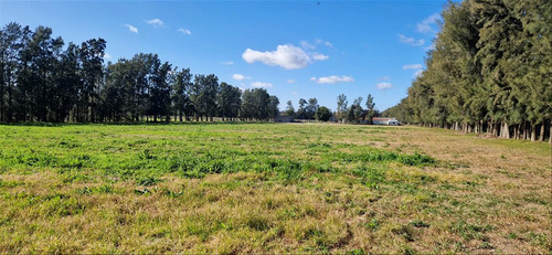 Venta Chacra 28 Ha Abayuba Arroyo Y 2 Tajamares C.rigel