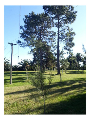 Imagen 11 de 27 de Campo Venta 3 Cabañas Pileta, Laguna, Cancha De Fútbol, Arbolada -1.8 Hectáreas - Magdalena