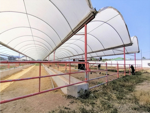 Rancho En Acatlán, Hidalgo (producción Ganadera Y De Queso).