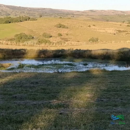Imagen 10 de 20 de Vendo Chacra 5 Hectateas Con Casa En Ruta 39, Las Cañas - Las Cañas Las Cañas