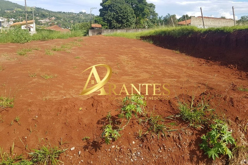 Imagem 6 de 7 de Terreno - Te00011 - 69578093
