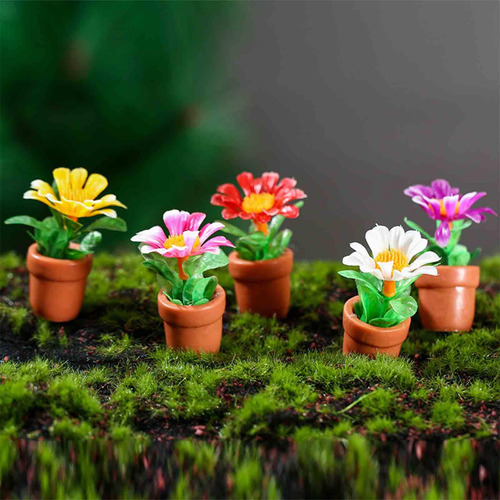 3 X 5 Uds., Escala 1:12, Escenas De Plantas Bonsái En