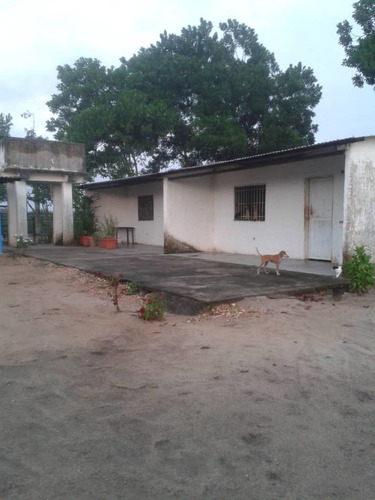 Imagen 3 de 10 de Se Vende Finca Vial Alsur Cerca Del Veladero Ve02-1313vs-myafar