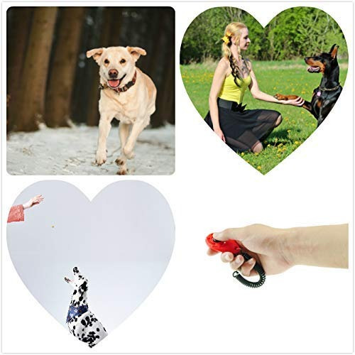 Imagen 4 de 6 de Ecocity Upgrade Version Dog Training Clicker Con Muñequera,
