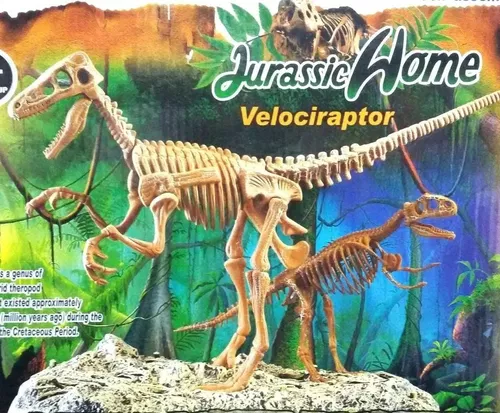Dinosaurio Esqueleto Para Armar Velociraptor Rex Con Base