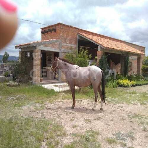 Rancho En Venta En El Llano, Aguascalientes
