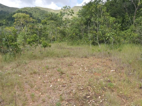 Terreno En Venta Inm Guataparo Situado En Una De Las Zonas Mas Codiciadas De Valencia, Con Vigilancia Privada, En Urb El Solar. Posee Electricidad, Una Casa Y Un Caney Con Piscina Remodelar. 22-216