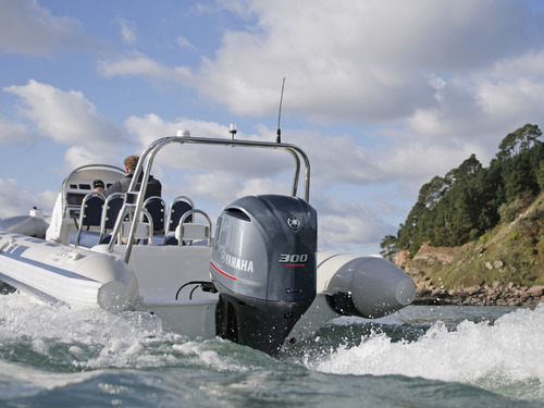 Yamaha Fl300 Detx 4t Pessoa Física(exceto Mg)