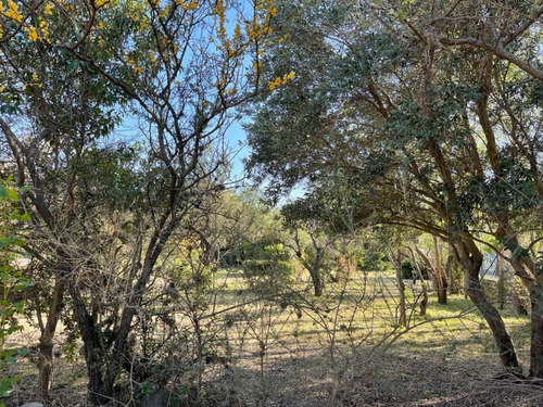 Imagen 7 de 14 de Venta De Lote En Merlo A Metros De Avenida Del Sol