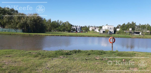 Imagen 7 de 15 de Excelente Lote En Miralagos Ii - Terreno De 1260m2- Con Fondo Laguna