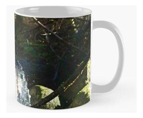 Taza Arroyo Cerca De La Montaña Bandera Calidad Premium