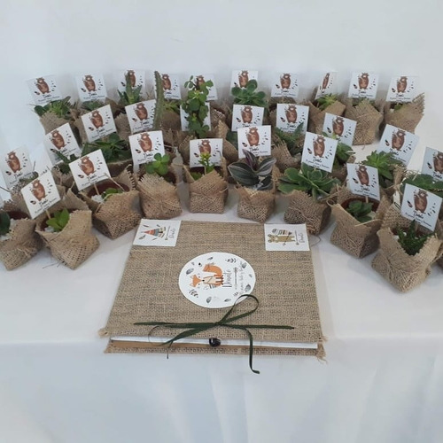 Imagen 11 de 11 de 10 Mini Cactus Suculentas Souvenir Eventos Cumple Isiflor